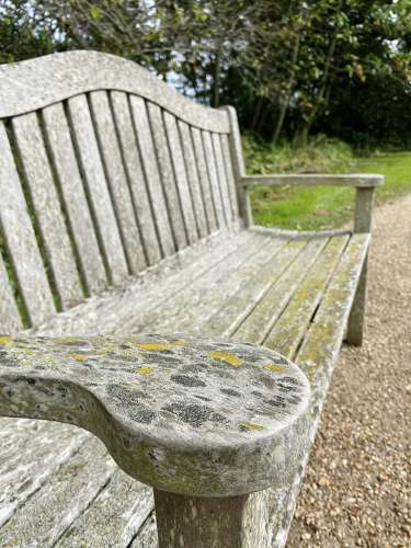 Patinated Arched Back Bench