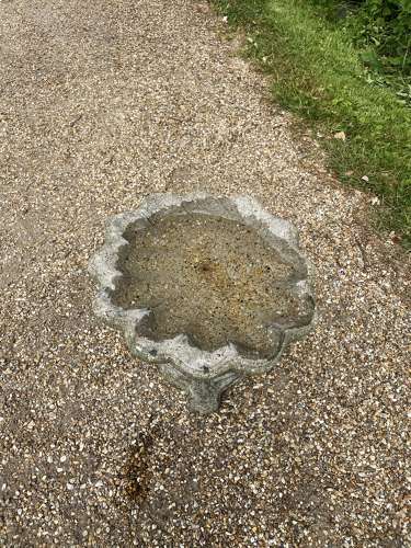 Shell Bird Bath