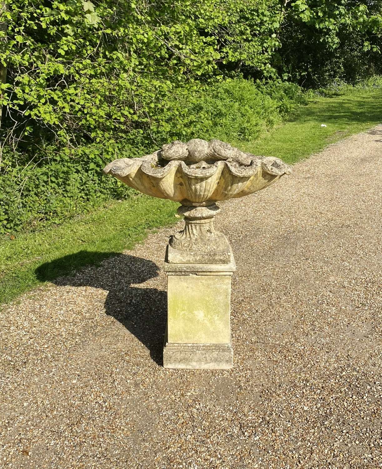 Large Shell with Pedestal