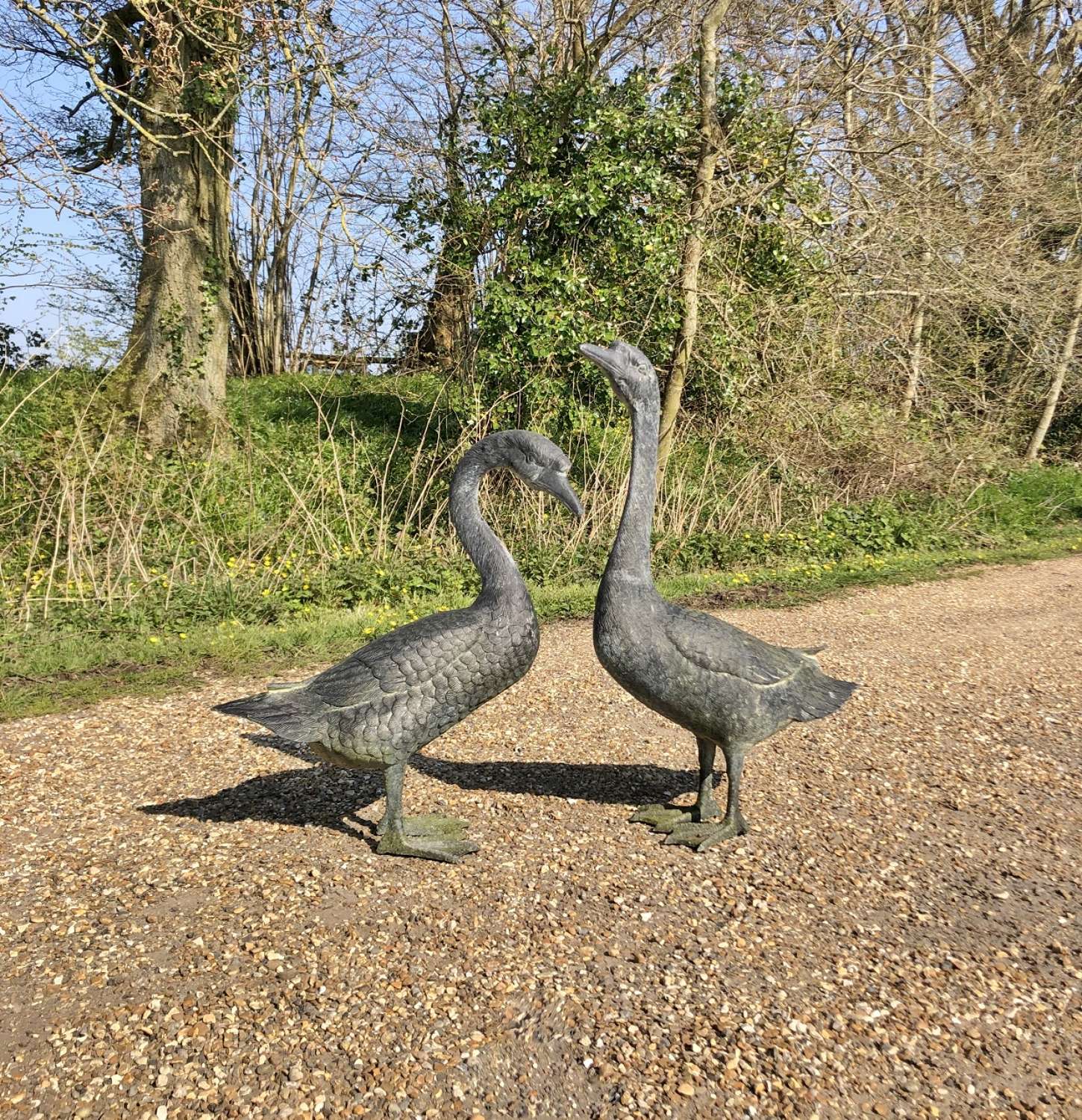 Pair of Geese