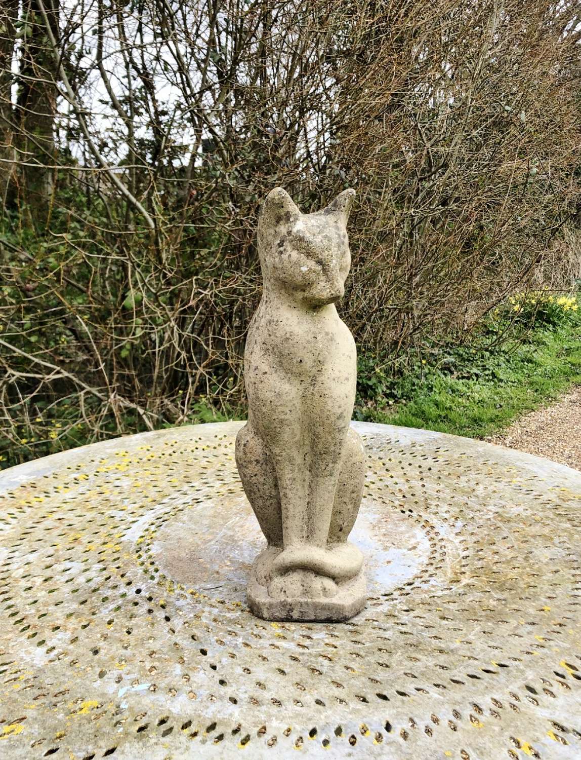 Stone Cat