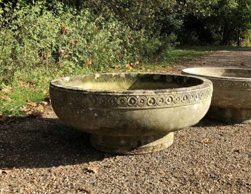 Large Dish