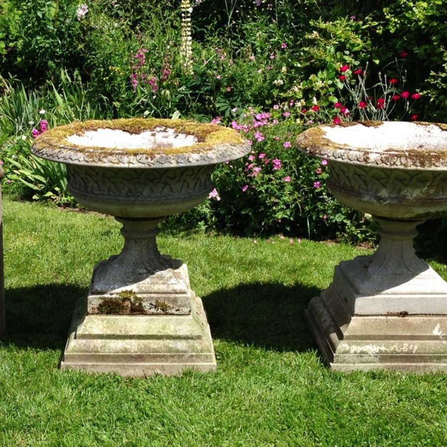 Pair of Large Tazza Urns and Bases