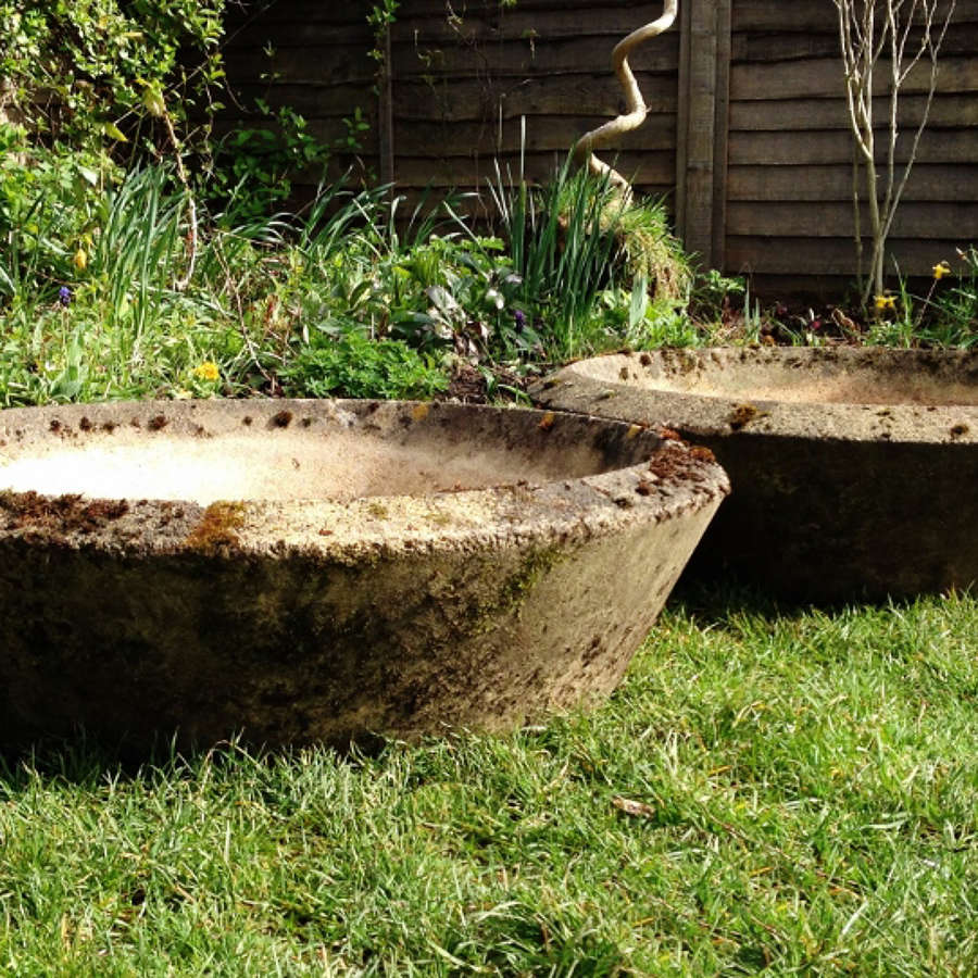Pair of Shallow Planters