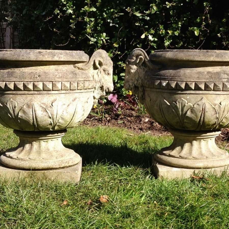 Pair of Rams-Head Urns