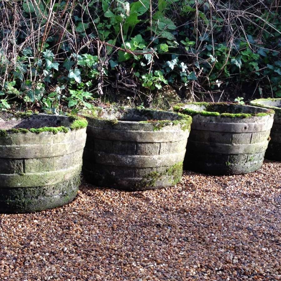 Set of Mossy Planters