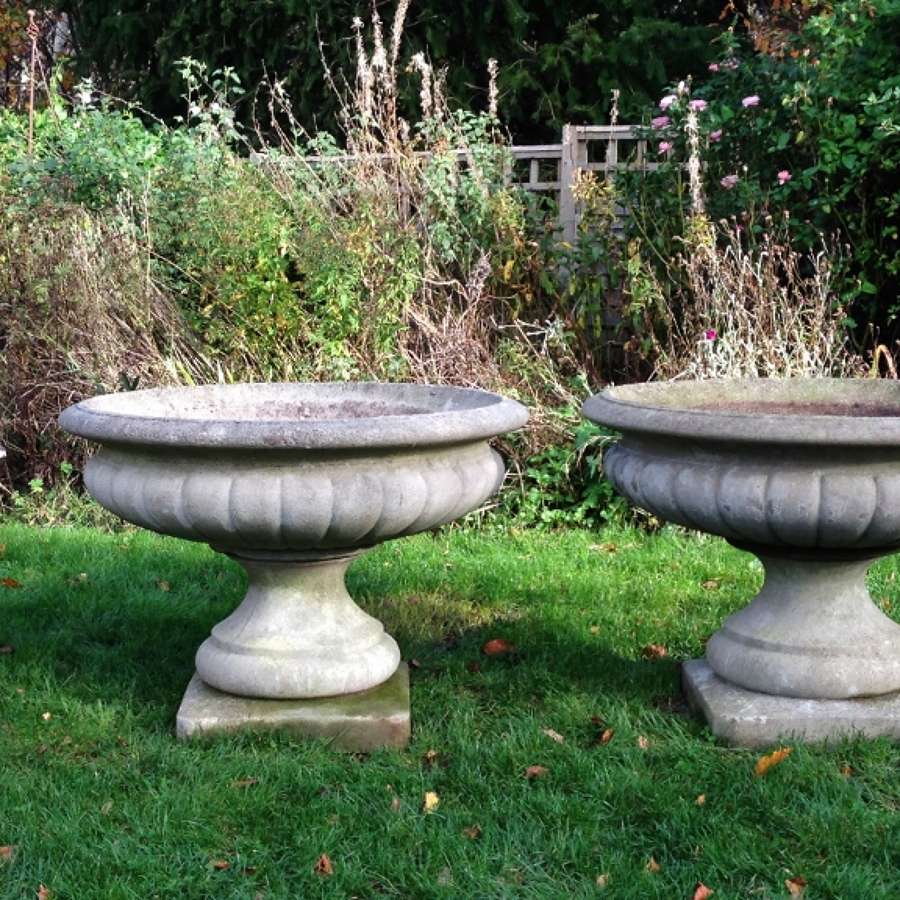 Pair of Large Tazza Urns 