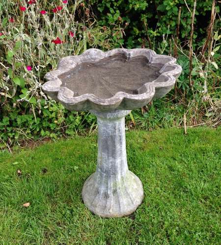 Shell Bird Bath
