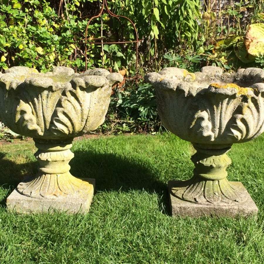 Pair of Weathered Acanthus Urns