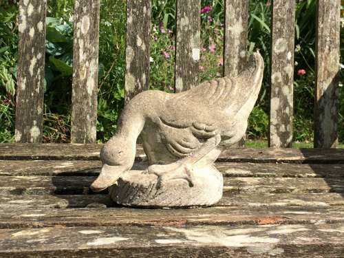 Stone Duck