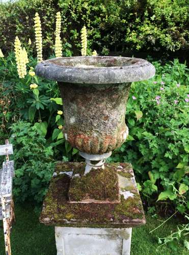 Mossy Urn and Pedestal