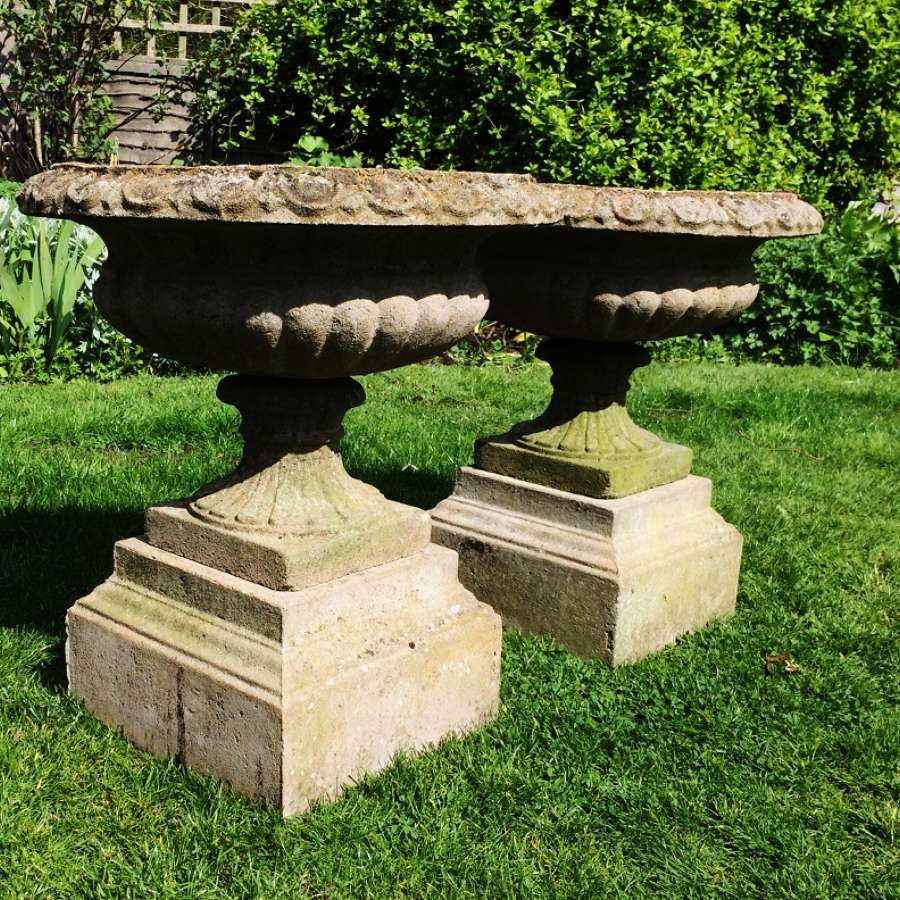 Pair of Tazza Urns on Bases