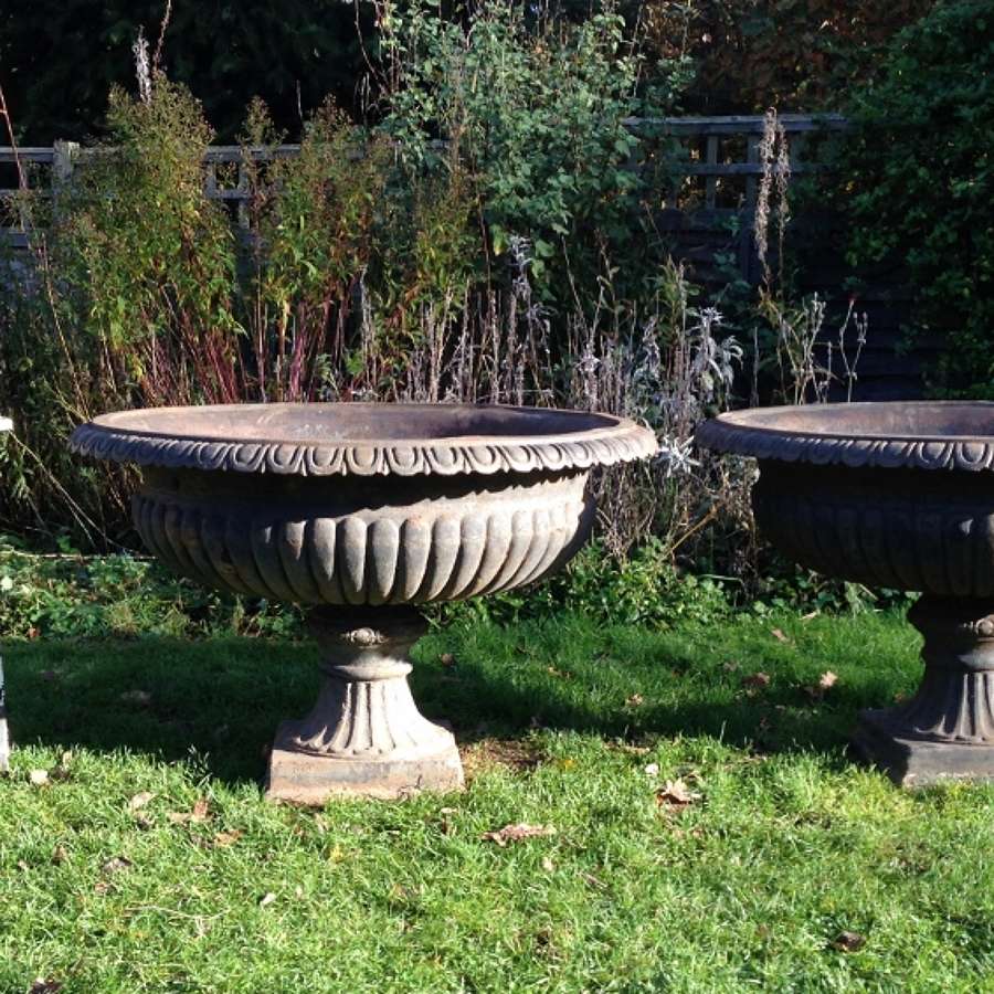 Pair of Large Tazza Urns