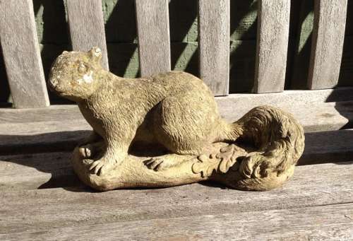 Stone Squirrel