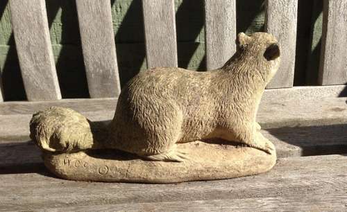 Stone Squirrel