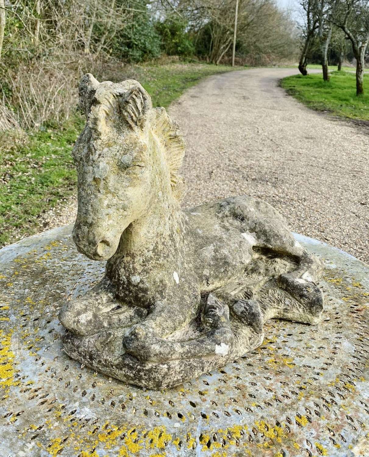 Large Stone Foal