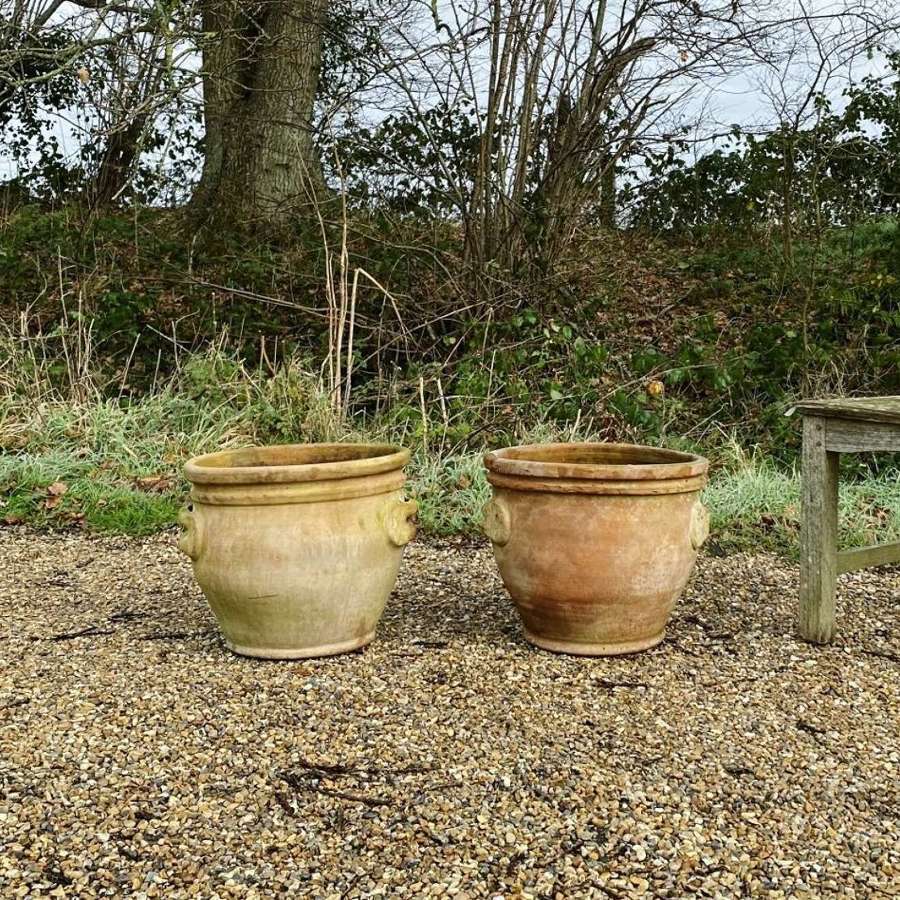Pair of Handled Terracotta Planters