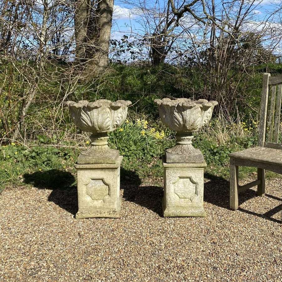 Pair of Acanthus Urns with Pedestals