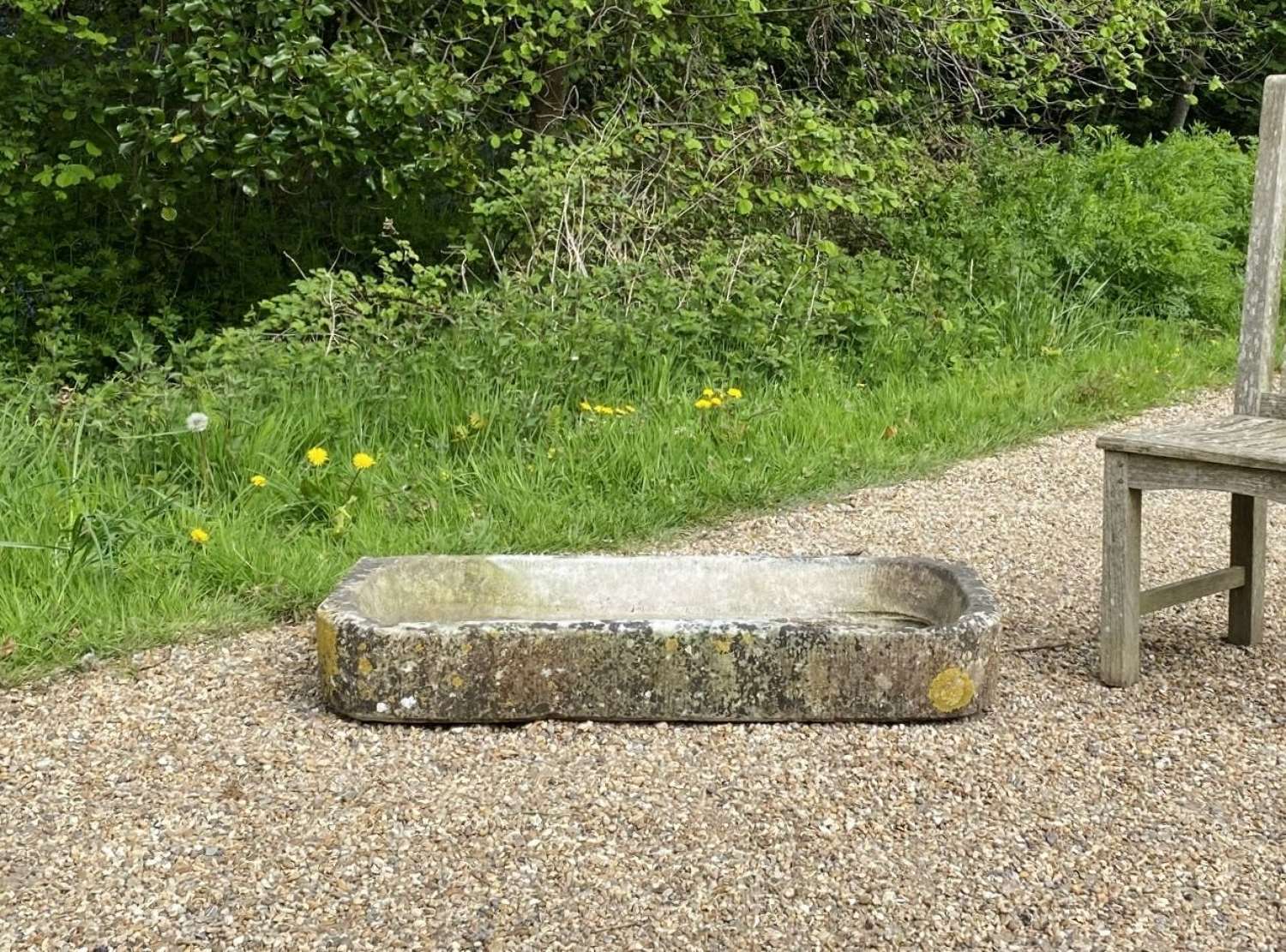 Limestone Sink with Lichen