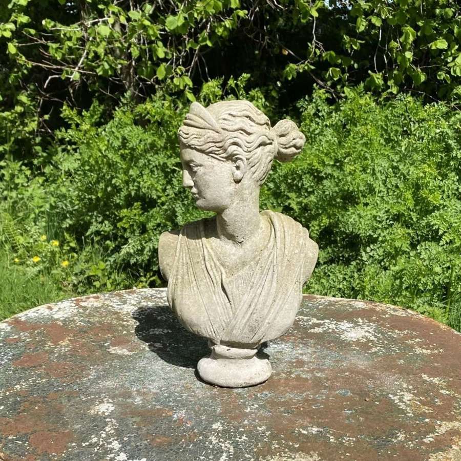 Small Classical Bust
