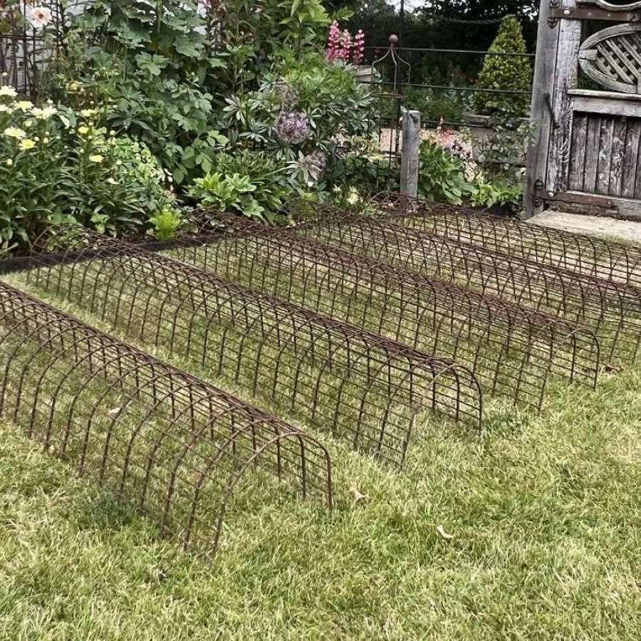 6ft Wire Vegetable Cloches