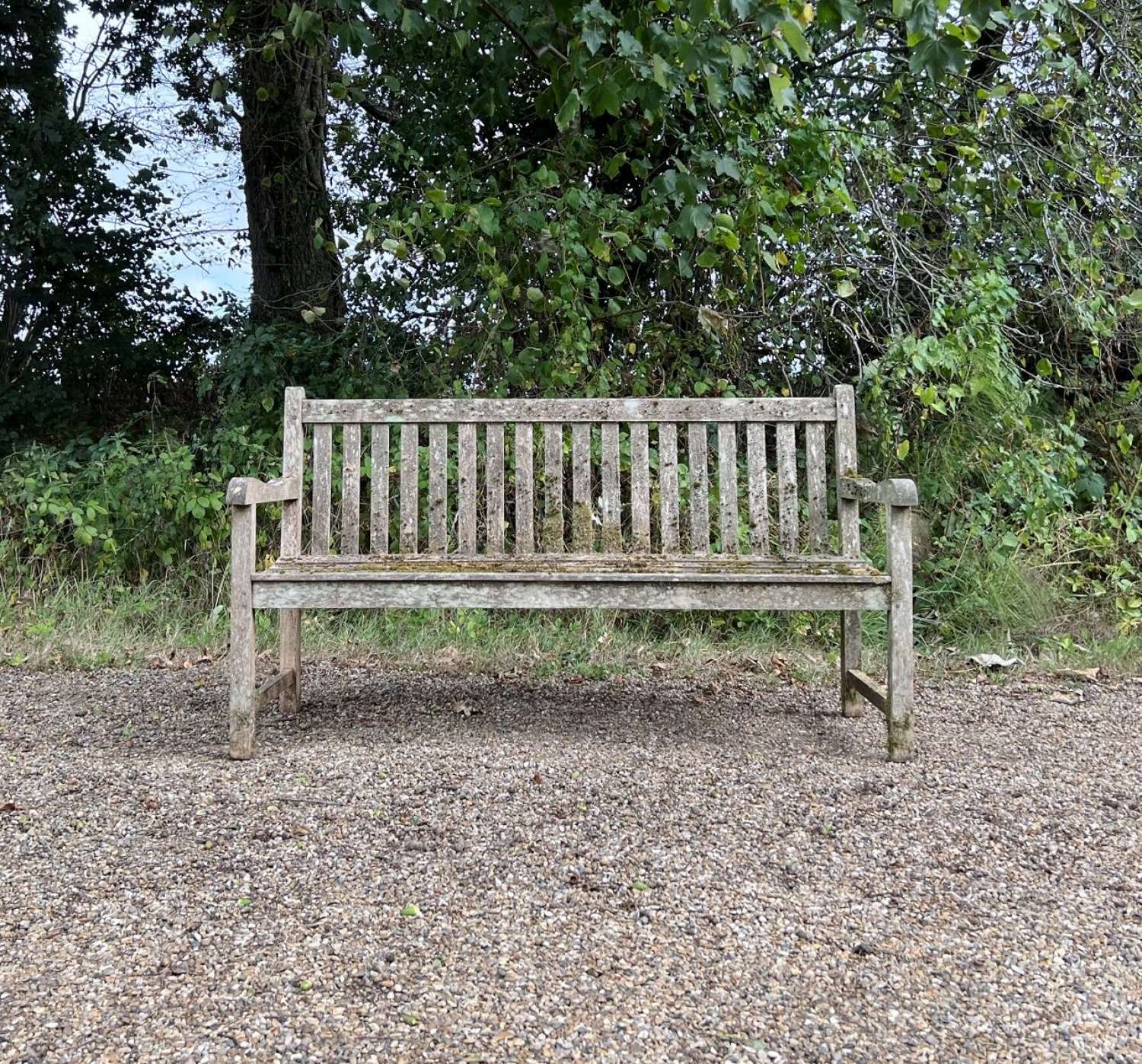 Mossy Garden Bench