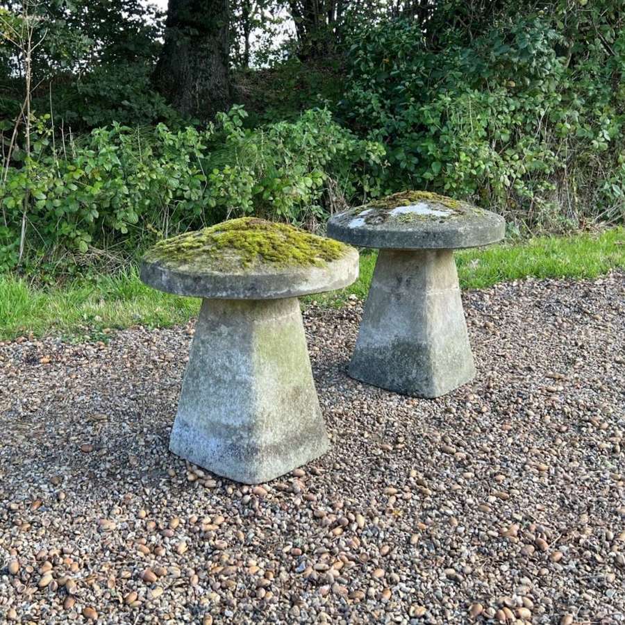 Pair of Mossy Staddle Stones