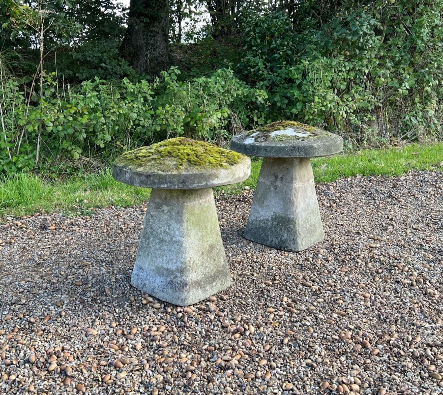 Pair of Mossy Staddle Stones
