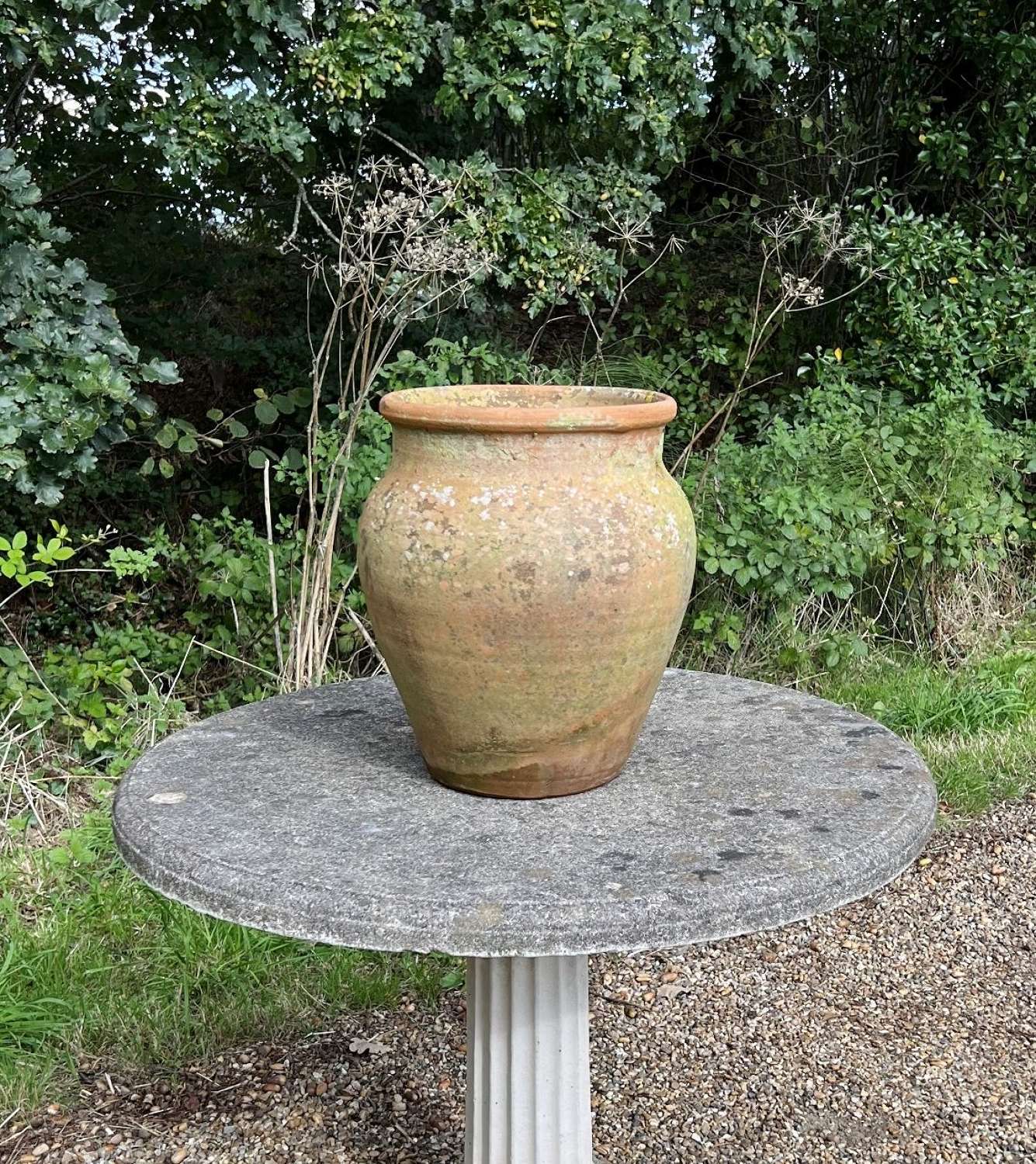 Terracotta Vase Planter