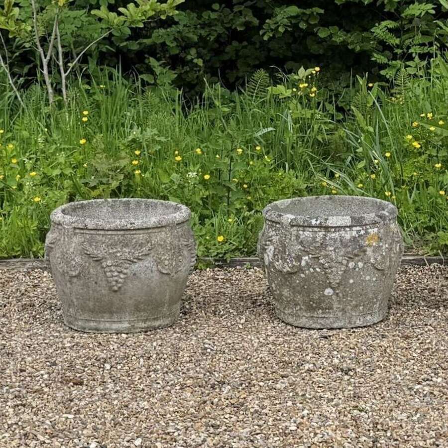 Pair of Weathered Grape Planters