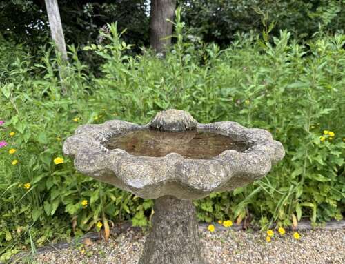Shell Bird Bath