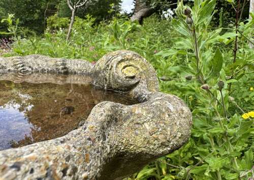 Shell Bird Bath