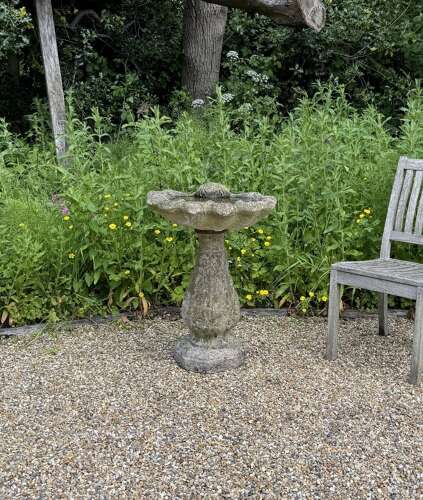 Shell Bird Bath