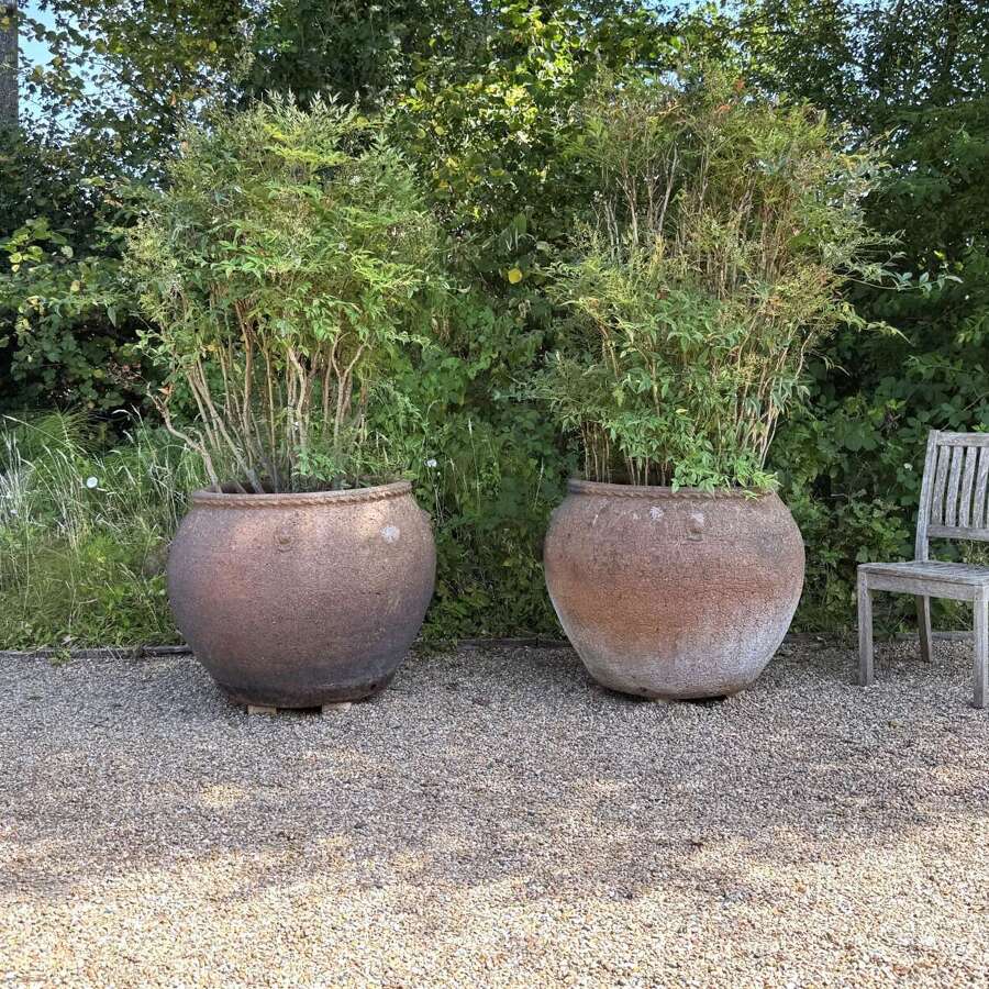 Very Large Earthenware Planters