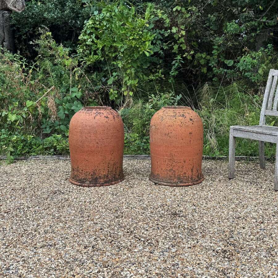 Pair of Large Pembridge Rhubarb Forcers