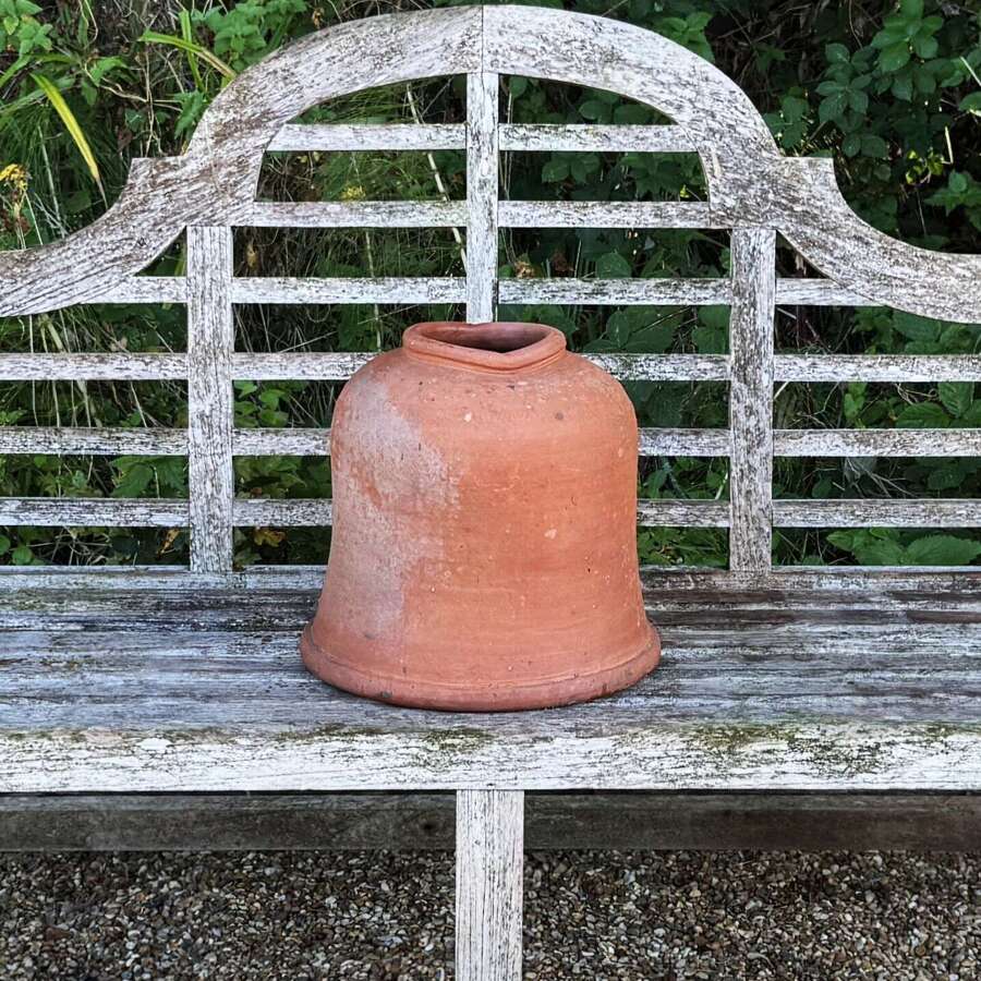 Antique Rhubarb Forcer