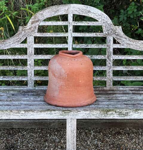 Antique Rhubarb Forcer